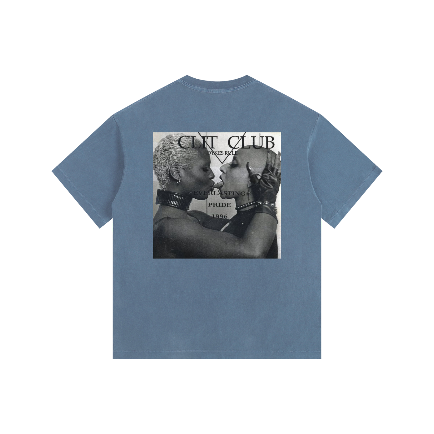 Vintage Skunk Anasie Washed Oversized Cotton T-Shirt