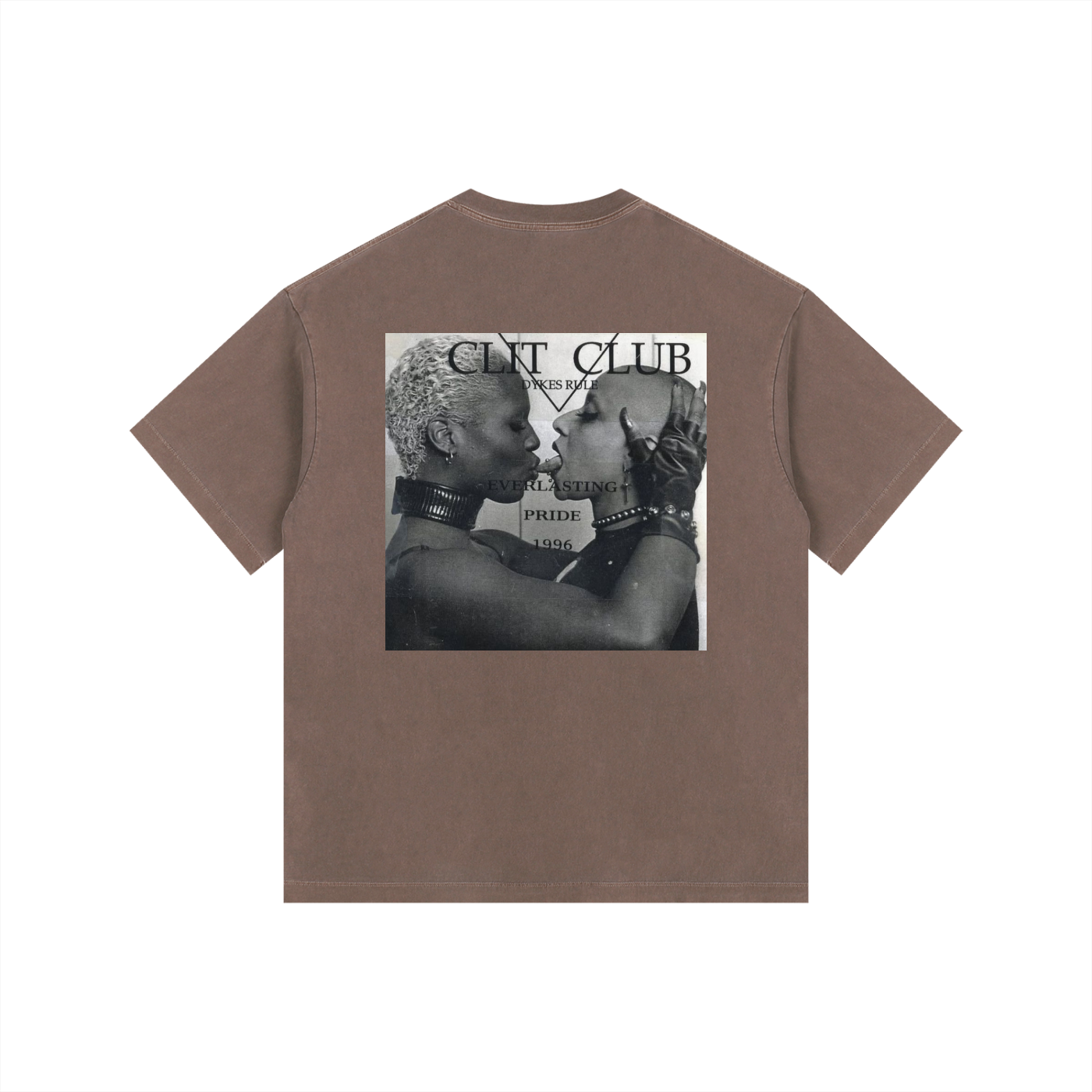 Vintage Skunk Anasie Washed Oversized Cotton T-Shirt