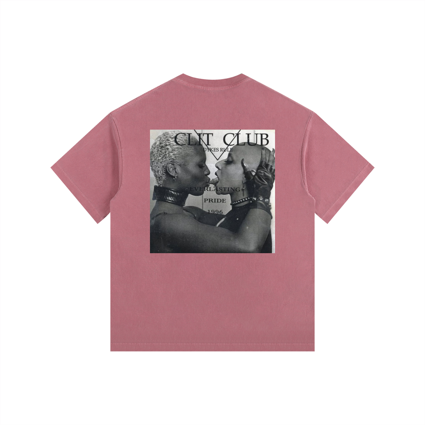 Vintage Skunk Anasie Washed Oversized Cotton T-Shirt