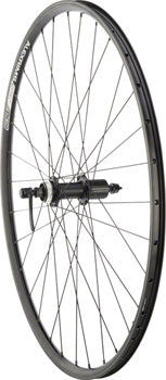 Quality Wheels Value Double Wall Series Rim+Disc Rear Wheel - 700, QR x 135mm, Center-Lock, HG 10, Black, Clincher