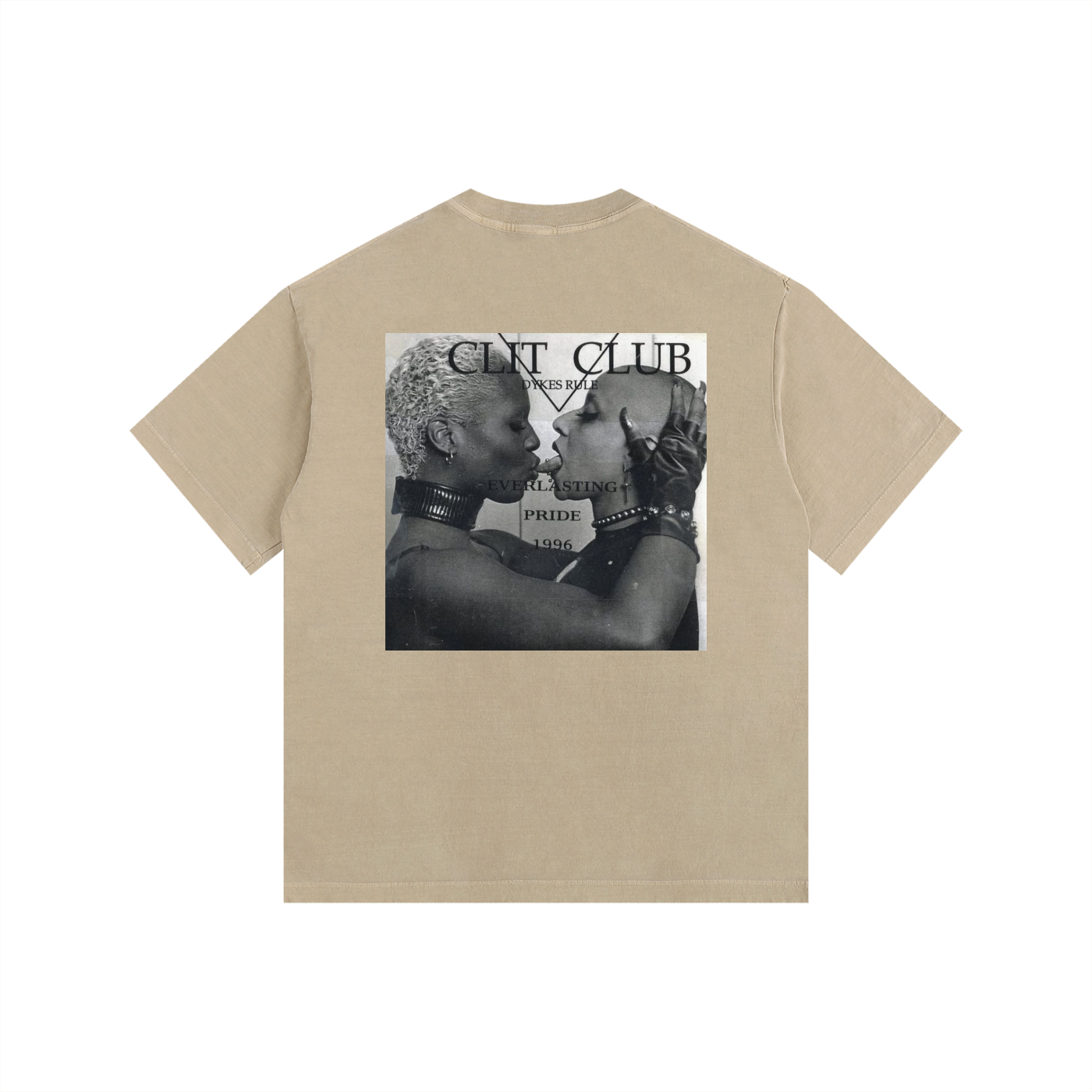 Vintage Skunk Anasie Washed Oversized Cotton T-Shirt
